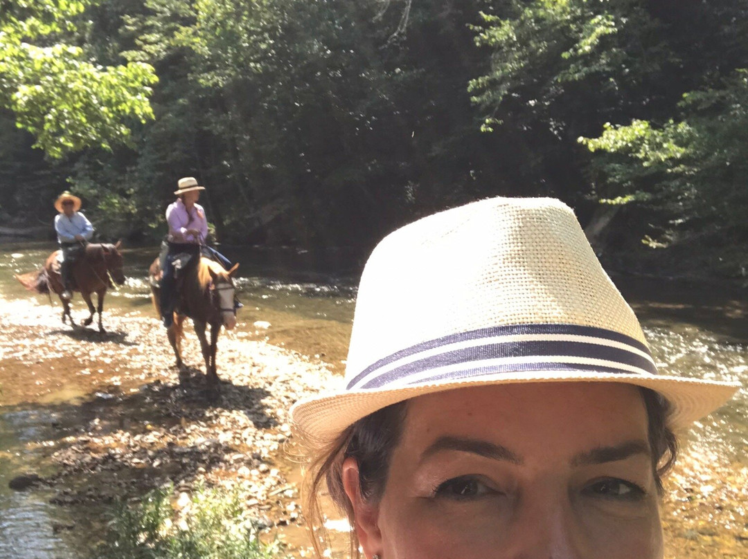 2023年11月Natchez Trace Stables景点攻略Natchez Trace Stables门票预订地址图片Natchez Trace Stables景点点评猫途鹰