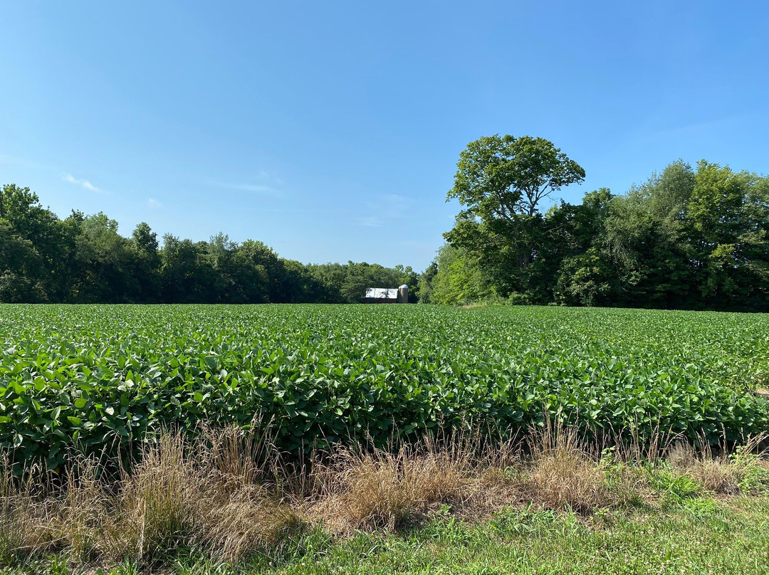 TREC Calico Trail-Effingham必去景点