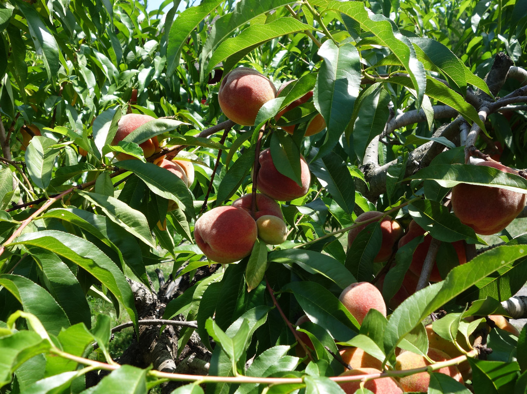 Buttermilk Falls Inn & Spa主图