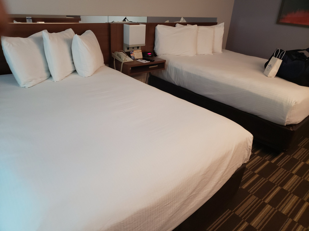 Microtel Inn & Suites by Wyndham Gardendale主图