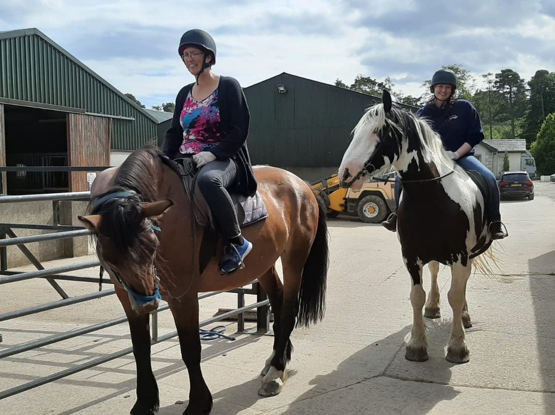 Mount Pleasant Pony Trekking and Horse Riding Centre景点图片
