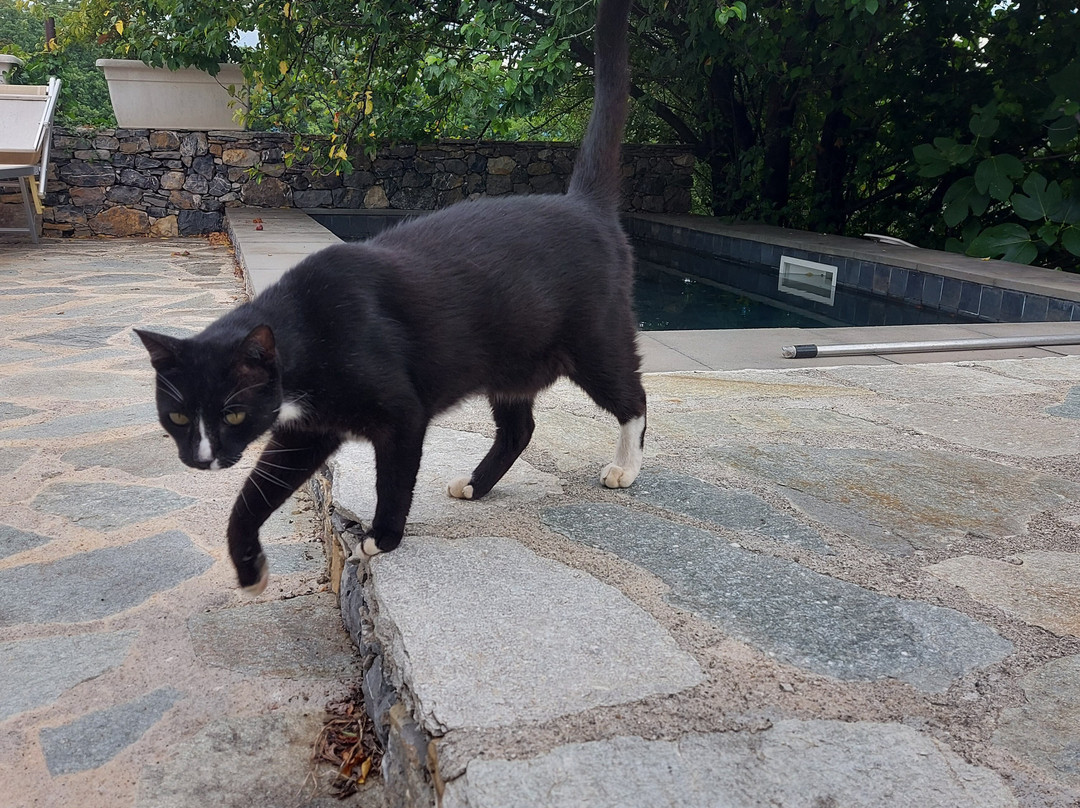 B&B Oca Nera Lerici主图