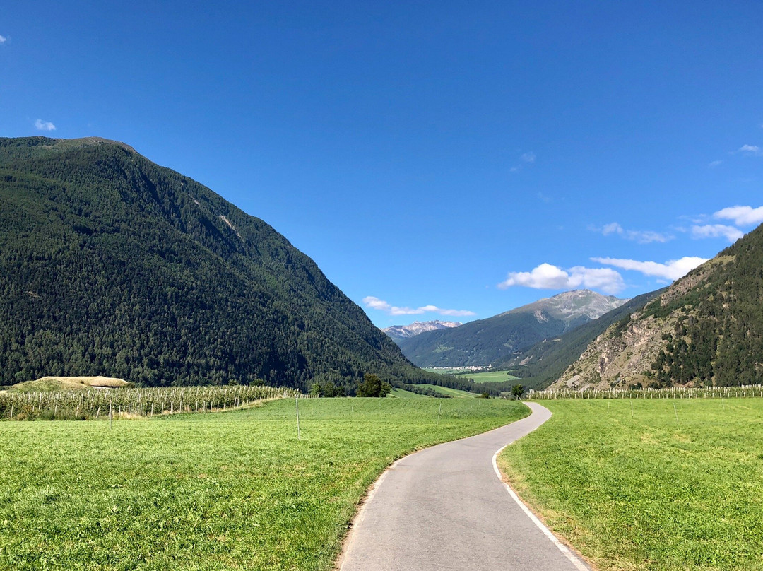 Pista Ciclabile della Val Venosta景点图片