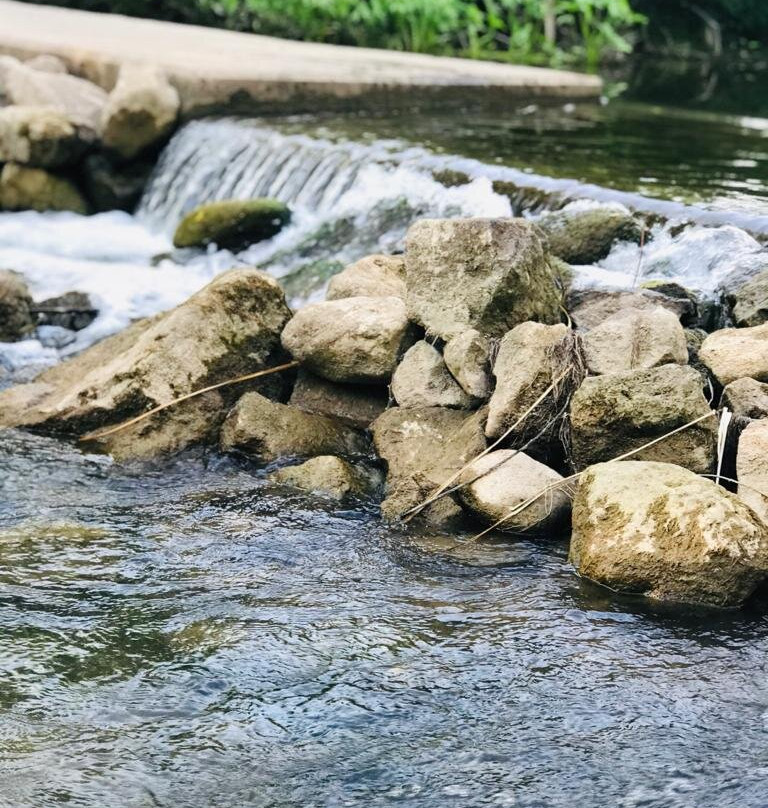 Mill Pond-Milton必去景点