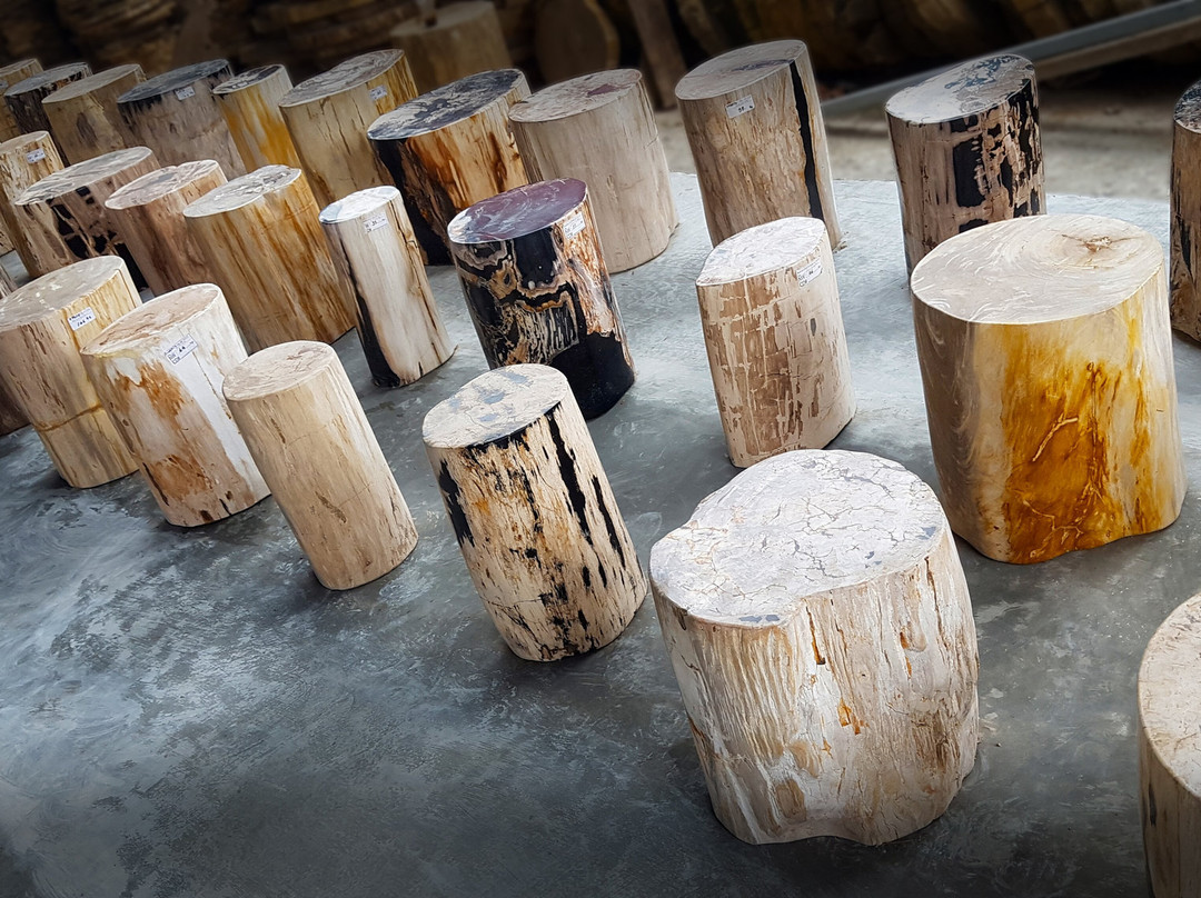 Petrified Wood Indonesia-茂物必去景点