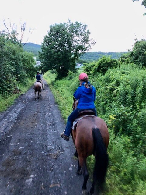 Chipman Stables-Danby必去景点