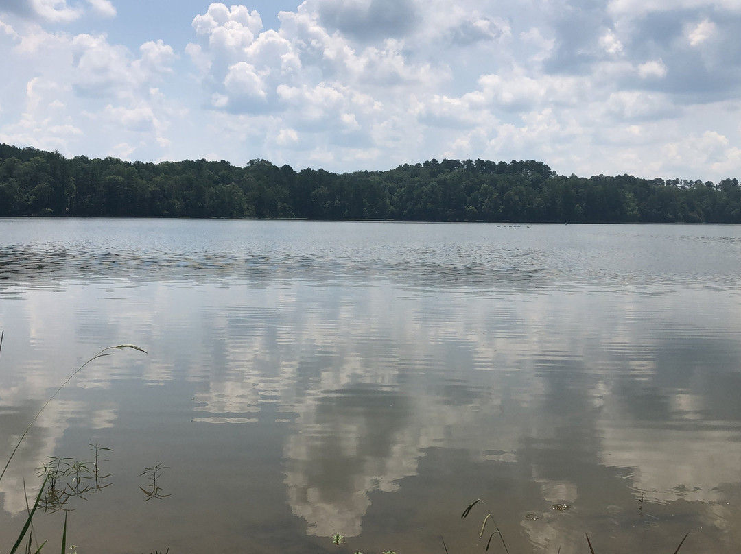 Walker County Public Fishing Lake景点图片