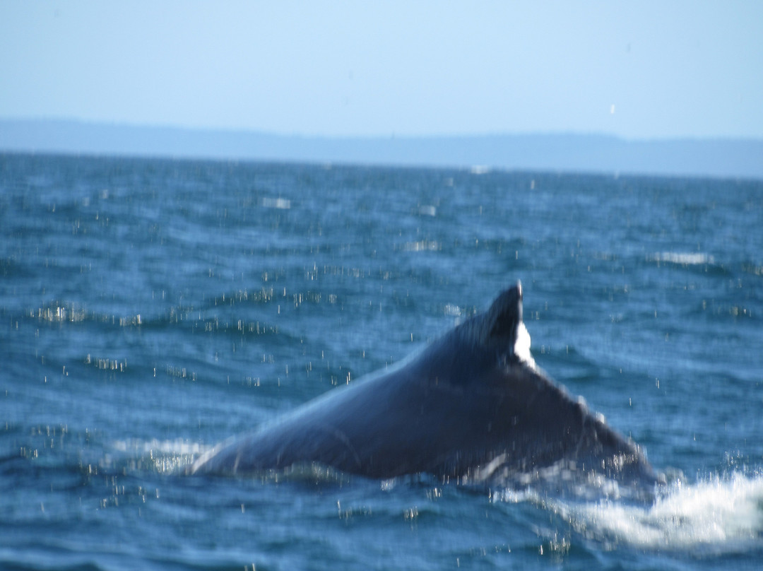 Ocean Explorations-Tiverton必去景点