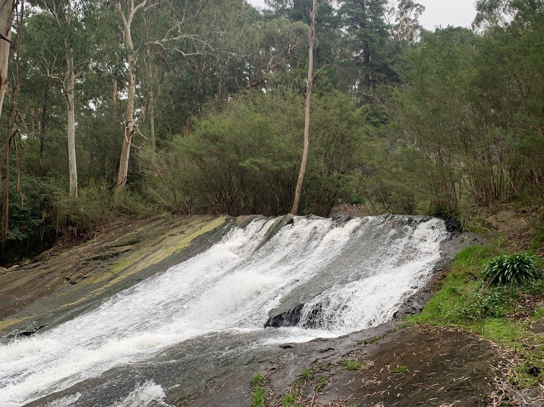 Maroondah Reservoir Park景点图片