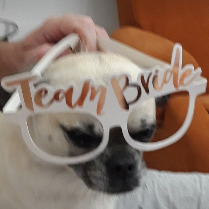 Climbing House主图