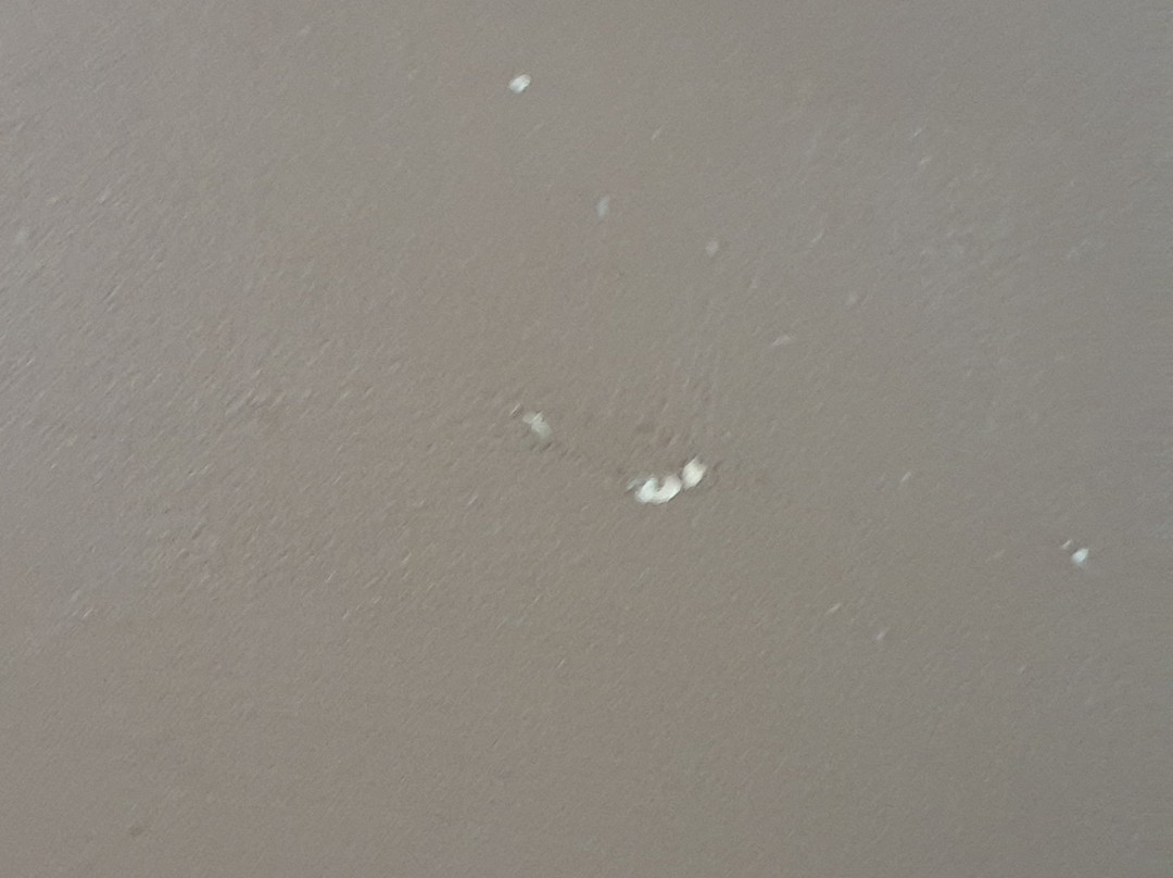 Madison Spa Motel - Adults Only主图