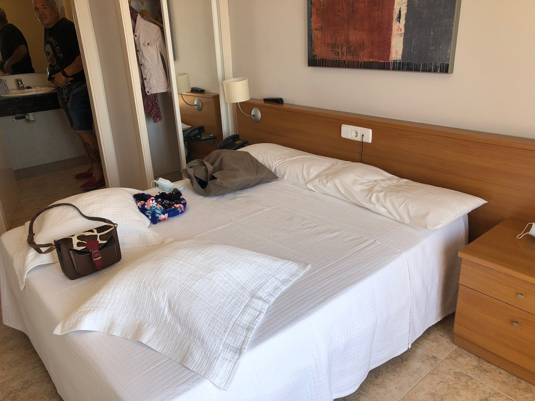 Hotel La Roca Plana主图