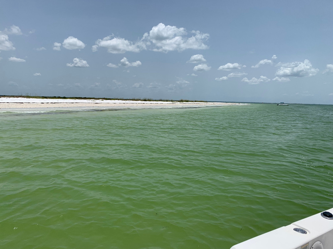 Private Island Charters-帕姆港必去景点