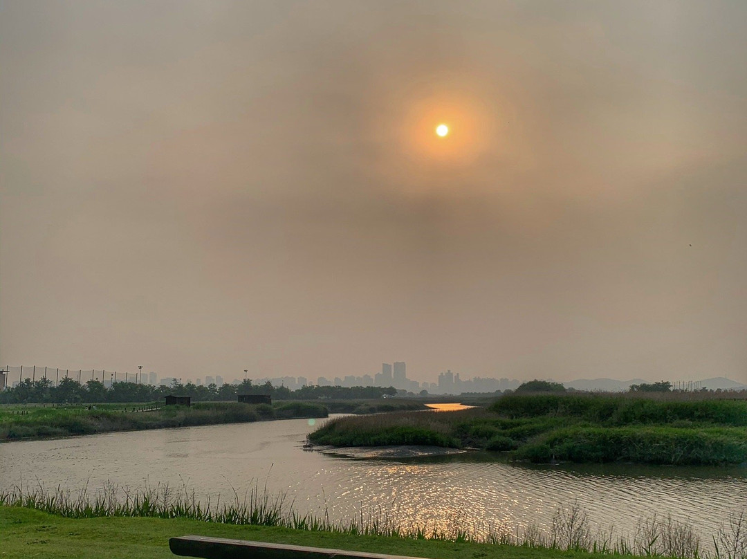 Gaetgol Eco Park-始兴市必去景点