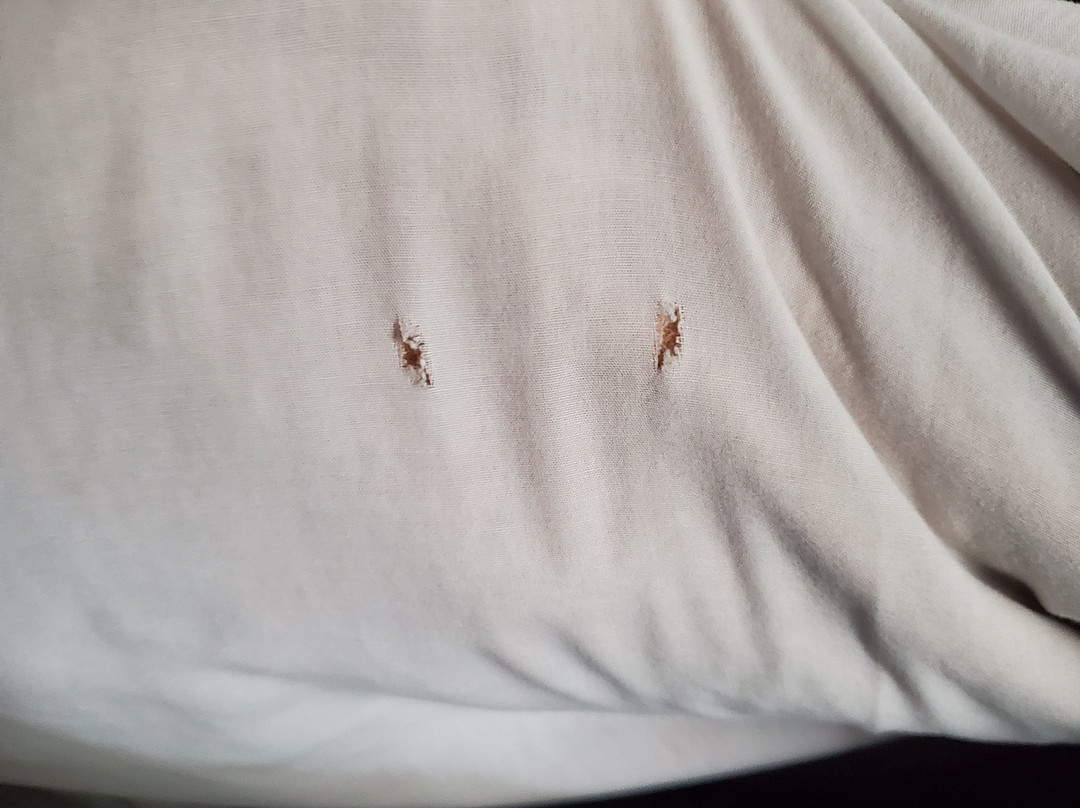 Super 8 by Wyndham Salina主图