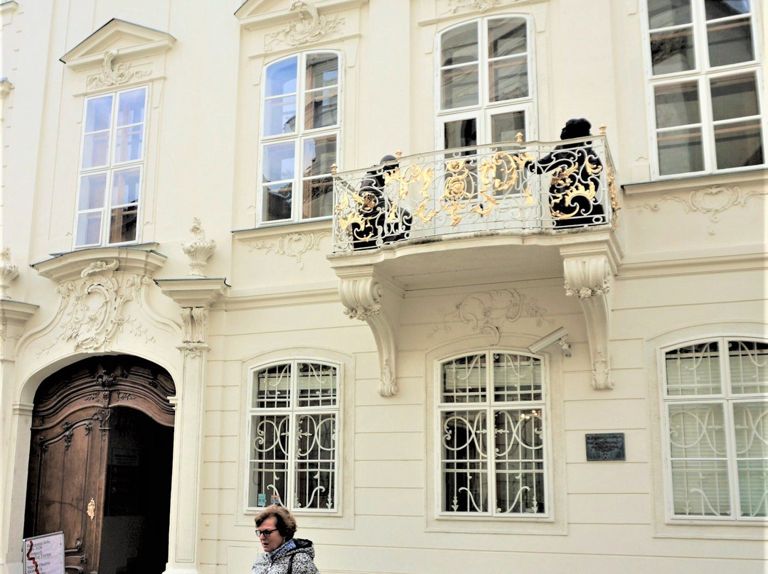 Tour4U - Bratislava Sightseeing景点图片