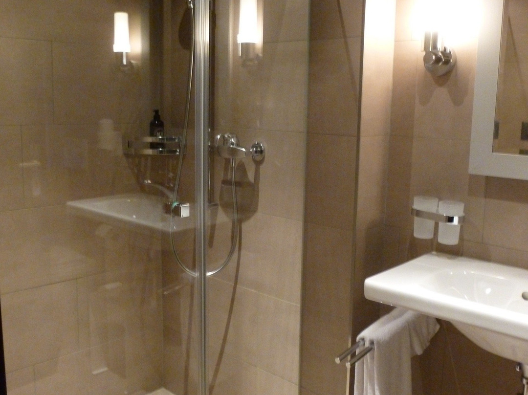 Romantik Hotel Metropol主图
