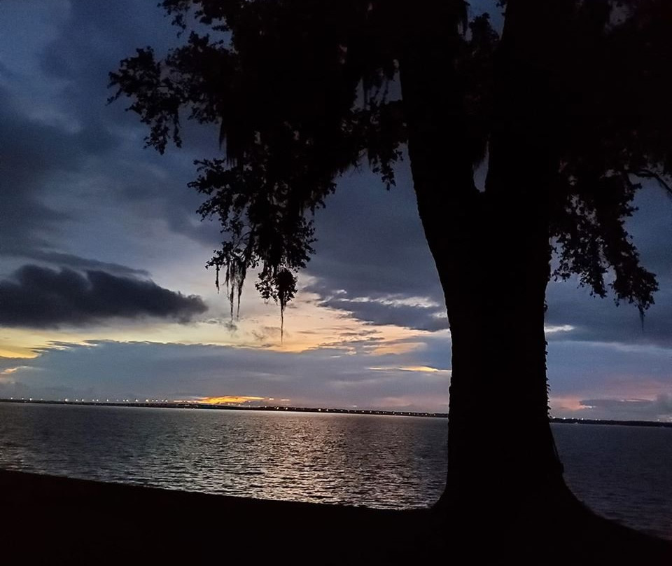 Azaleana Manor主图