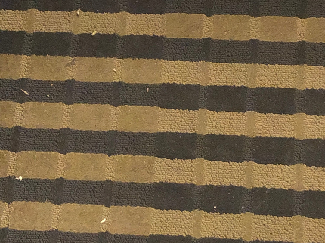 Super 8 by Wyndham Carthage TX主图