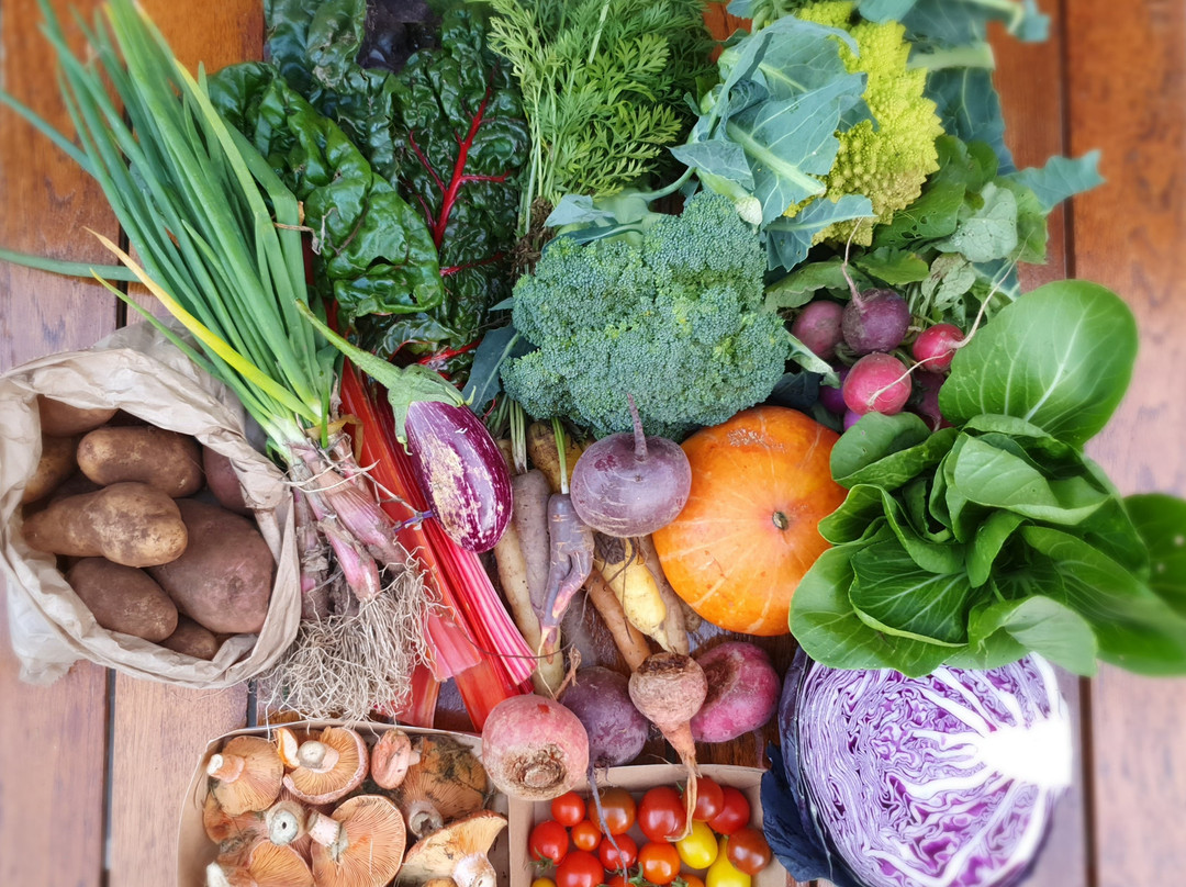Bendigo Community Farmers Market-本迪戈必去景点