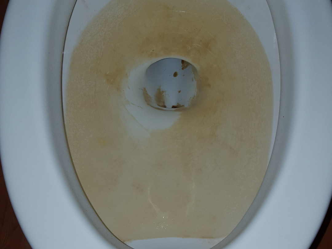 Super 8 by Wyndham Deerfield/Northbrook主图