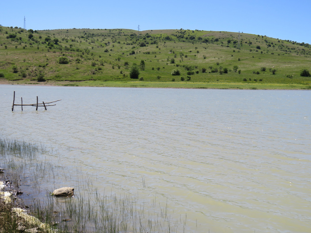 Lago Trearie景点图片