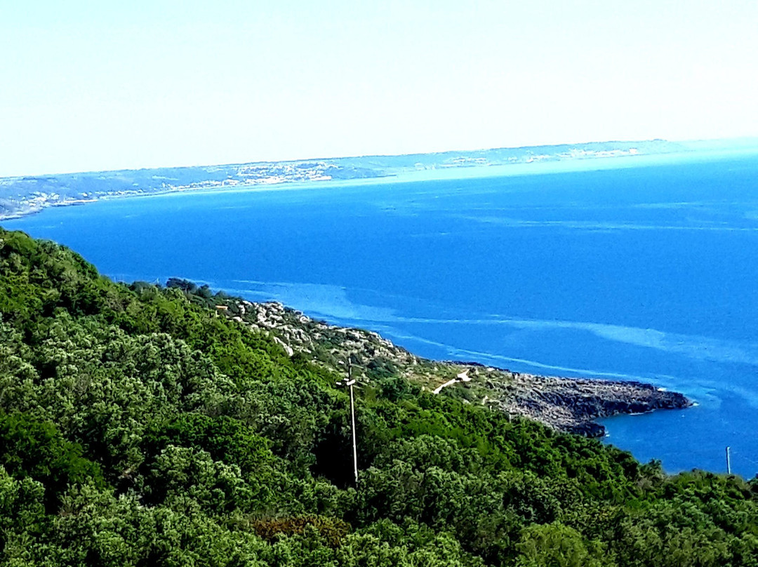 Torre Specchia Grande-Corsano必去景点