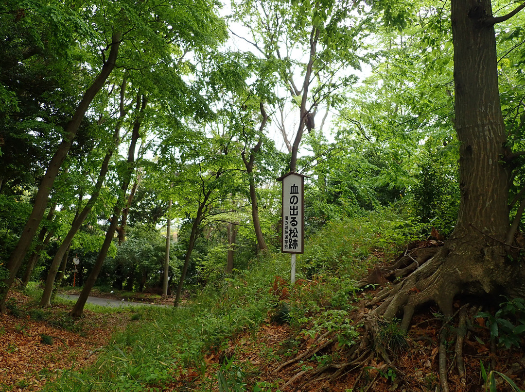 Takino Castle Ruins-所泽市必去景点