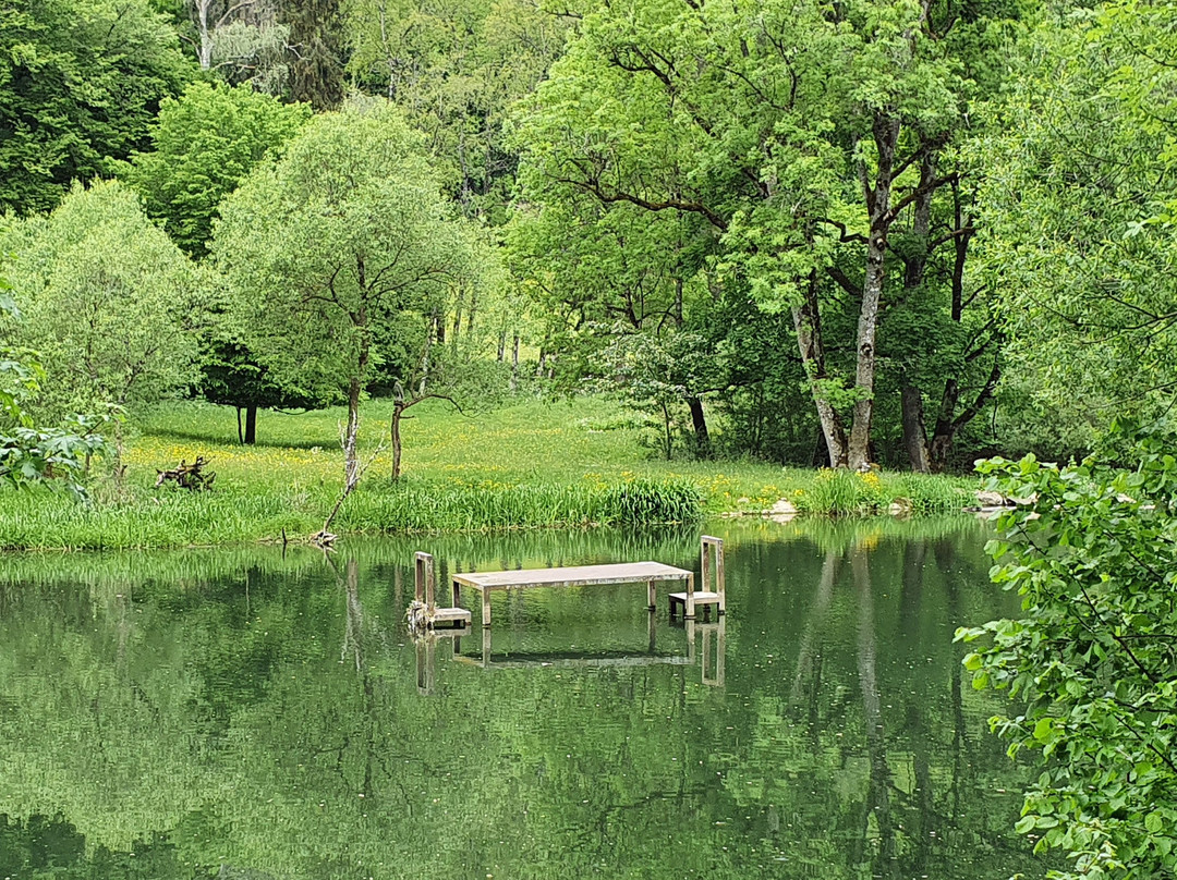 Naturpark Obere Donau景点图片