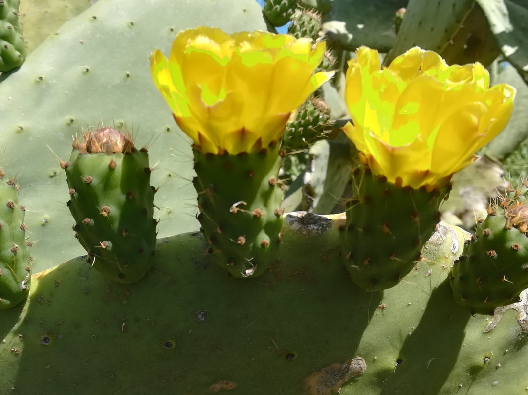 Oasi Mirko Variato in Lama San Giorgio-Triggiano必去景点