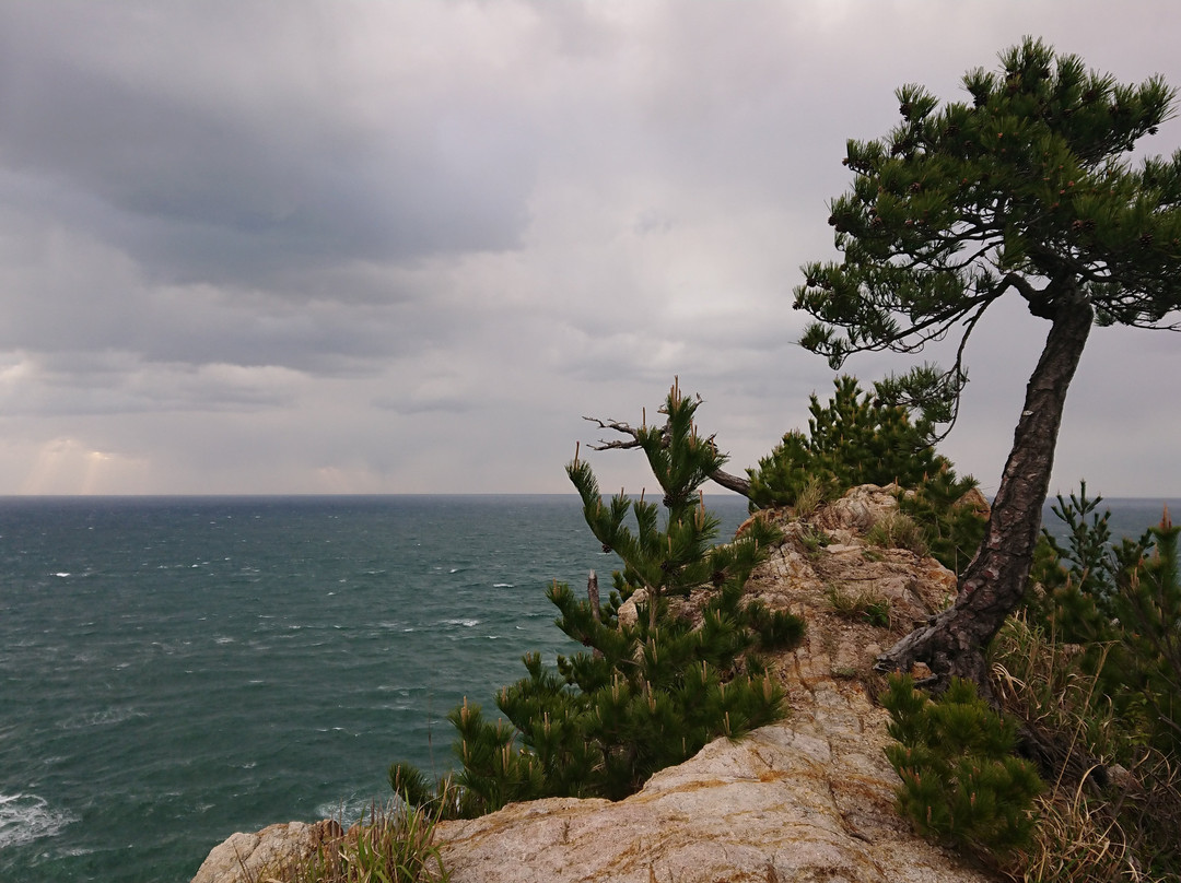 Sengan Matsushima Rock景点图片
