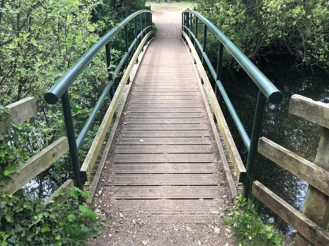 Milton Country Park景点图片