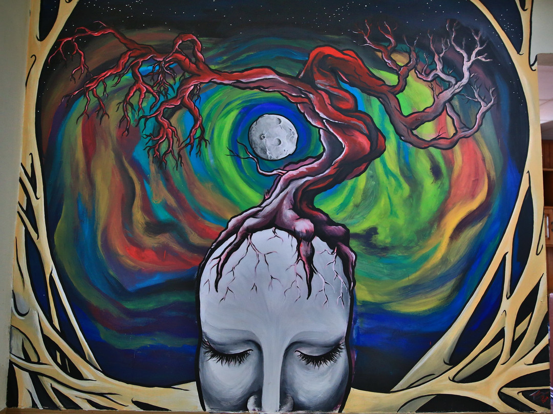 Mangífera Hostel主图