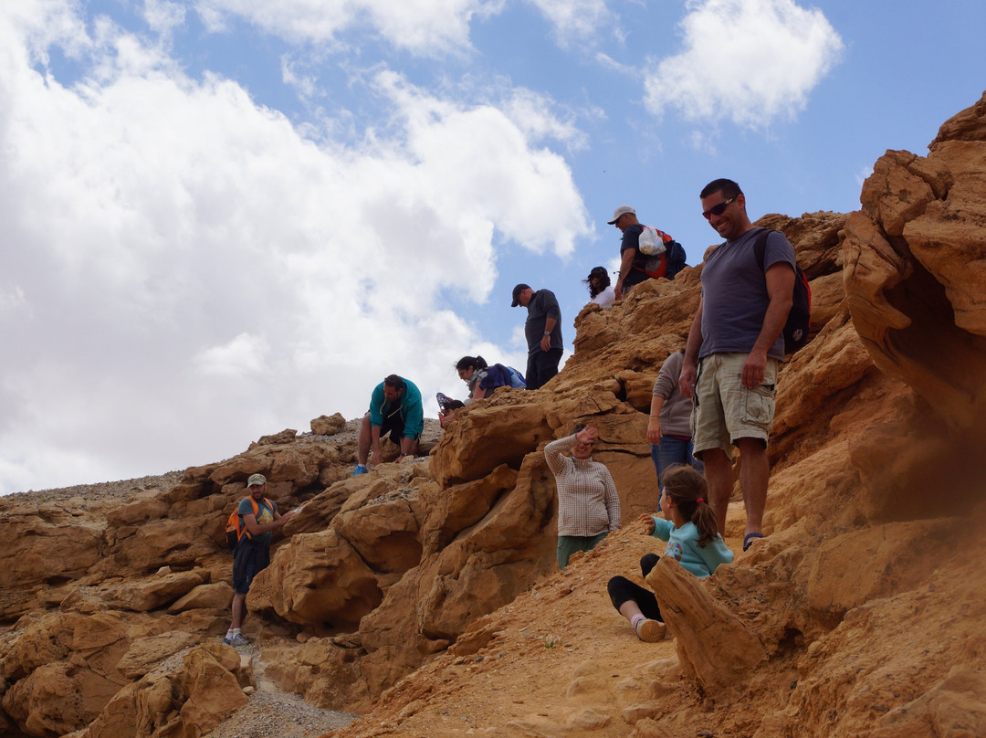 Zaatar - Israel Walking Tours景点图片