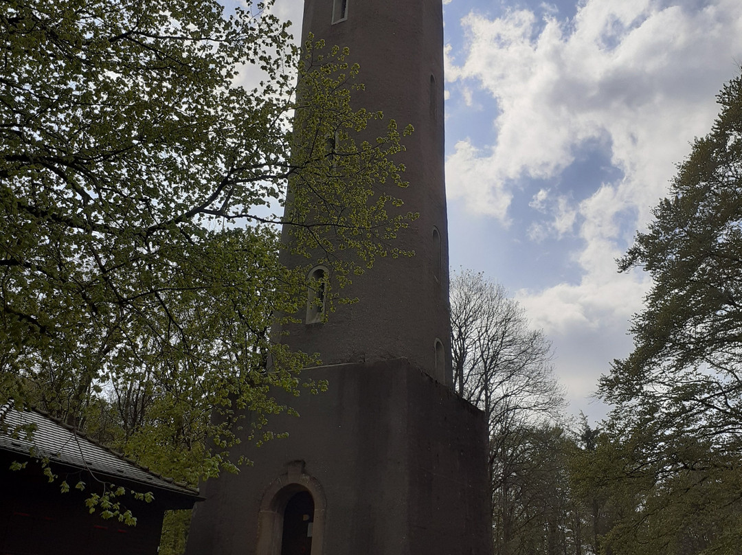 Ludwigsturm auf dem Donnersberg景点图片