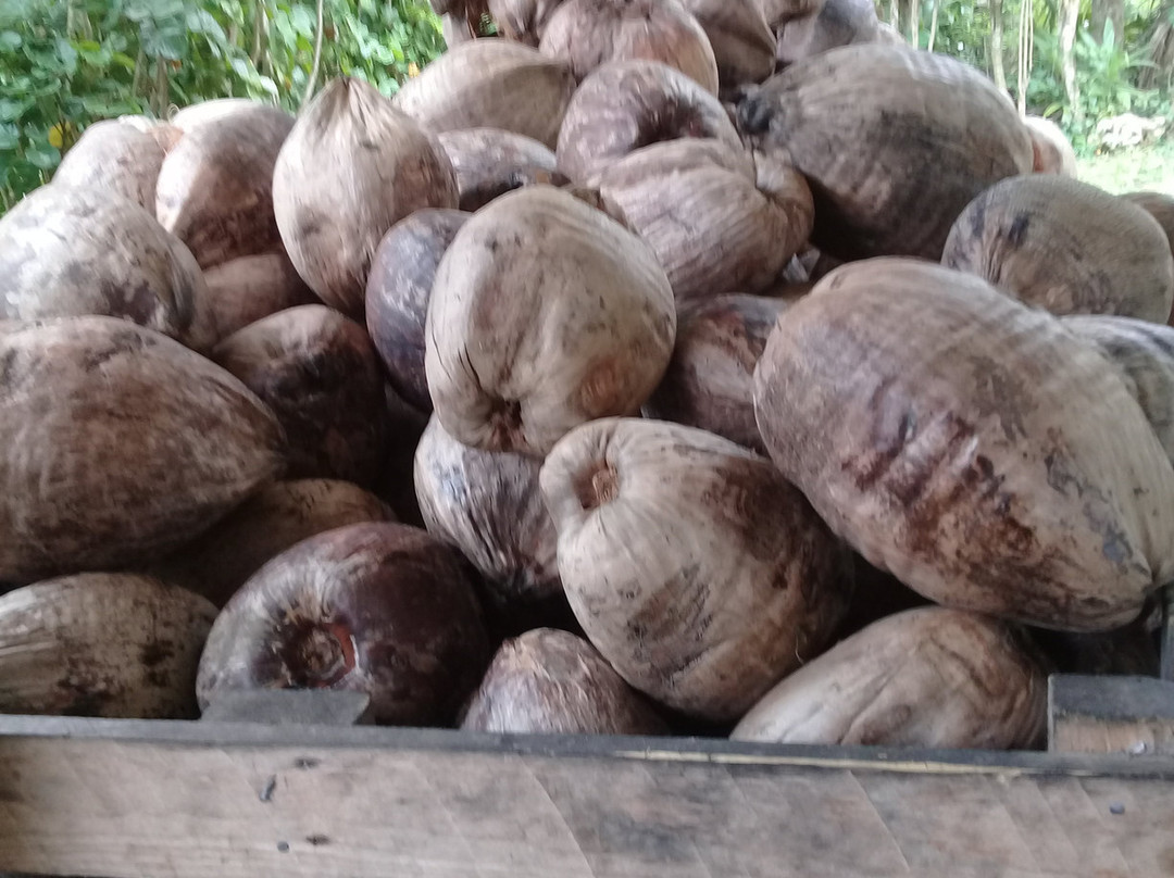 Rito Cook Islands-拉罗汤加必去景点