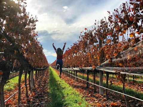 Roteiros em Mendoza-门多萨必去景点