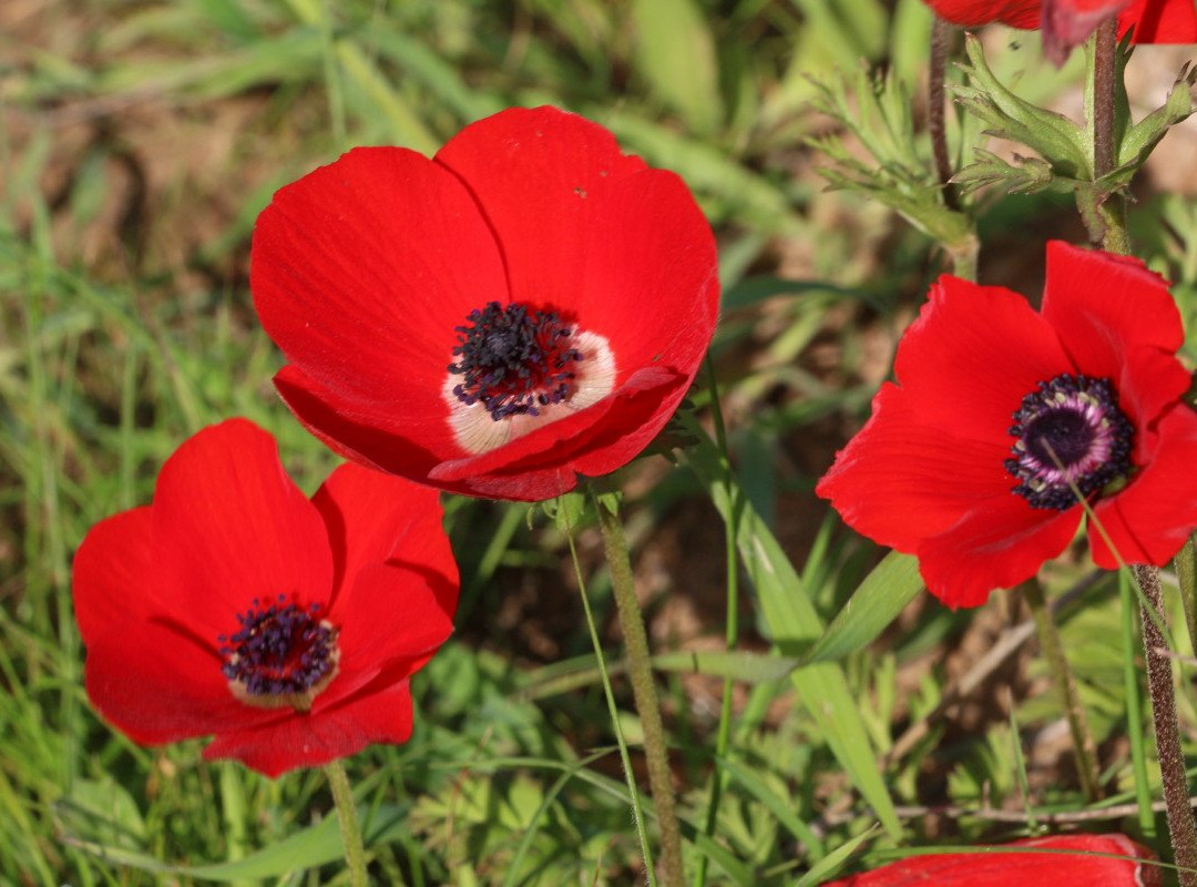 Pura Nature Reserve-贝尔谢巴必去景点