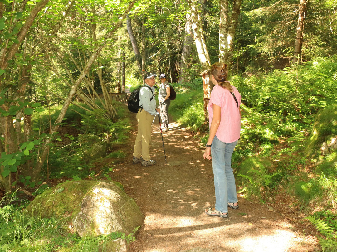 Nature Trail Kreklingen-Balestrand必去景点