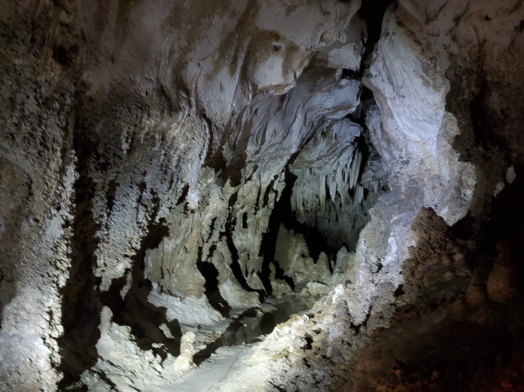 Left Hand Tunnel Tour-卡尔斯巴德洞穴国家公园必去景点