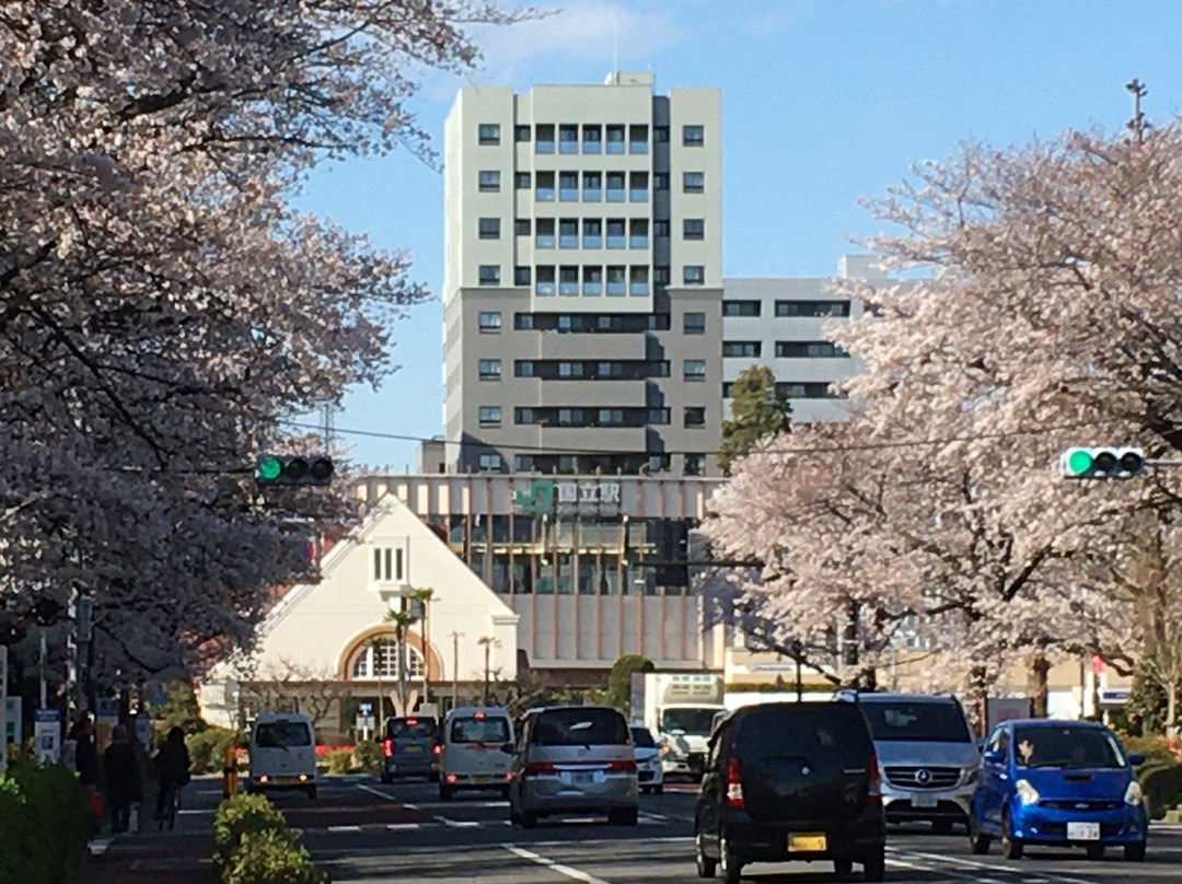 Daigakudori Street-国立市必去景点