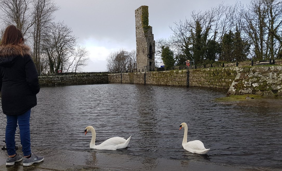 Garrykennedy Castle and Old Harbour-Garrykennedy必去景点
