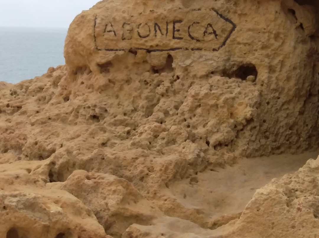 Enjoy Albufeira Drivers景点图片