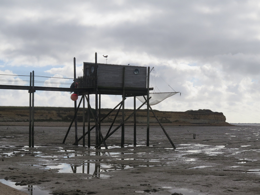 Reserve Naturelle du Marais d'Yves-Yves必去景点