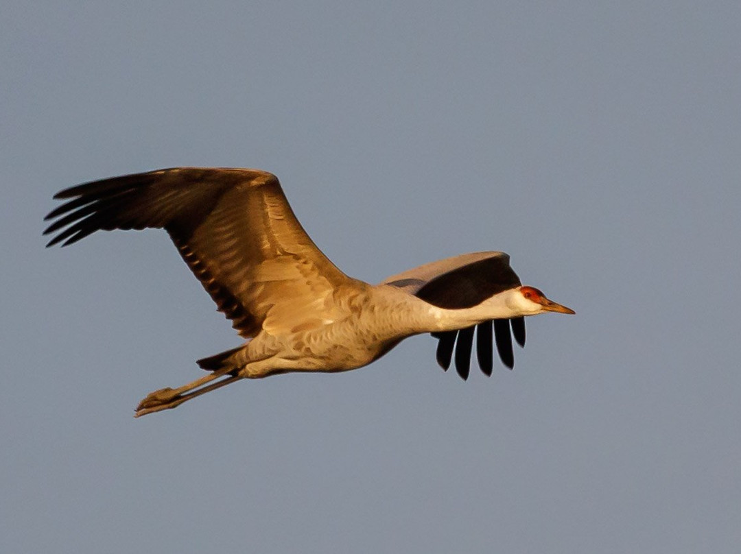 默塞德国家野生动物保护区-默塞德必去景点