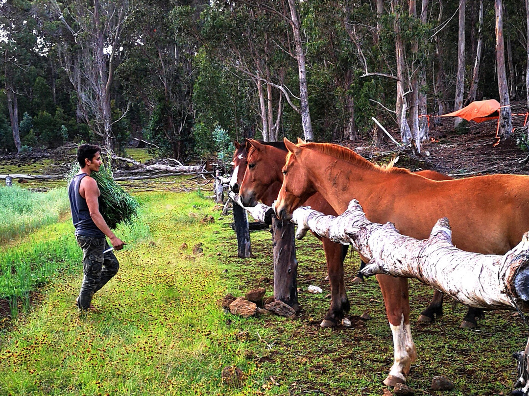 Adventure Terevaka-安加罗阿必去景点