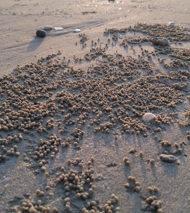 Pilly Holiday Home主图