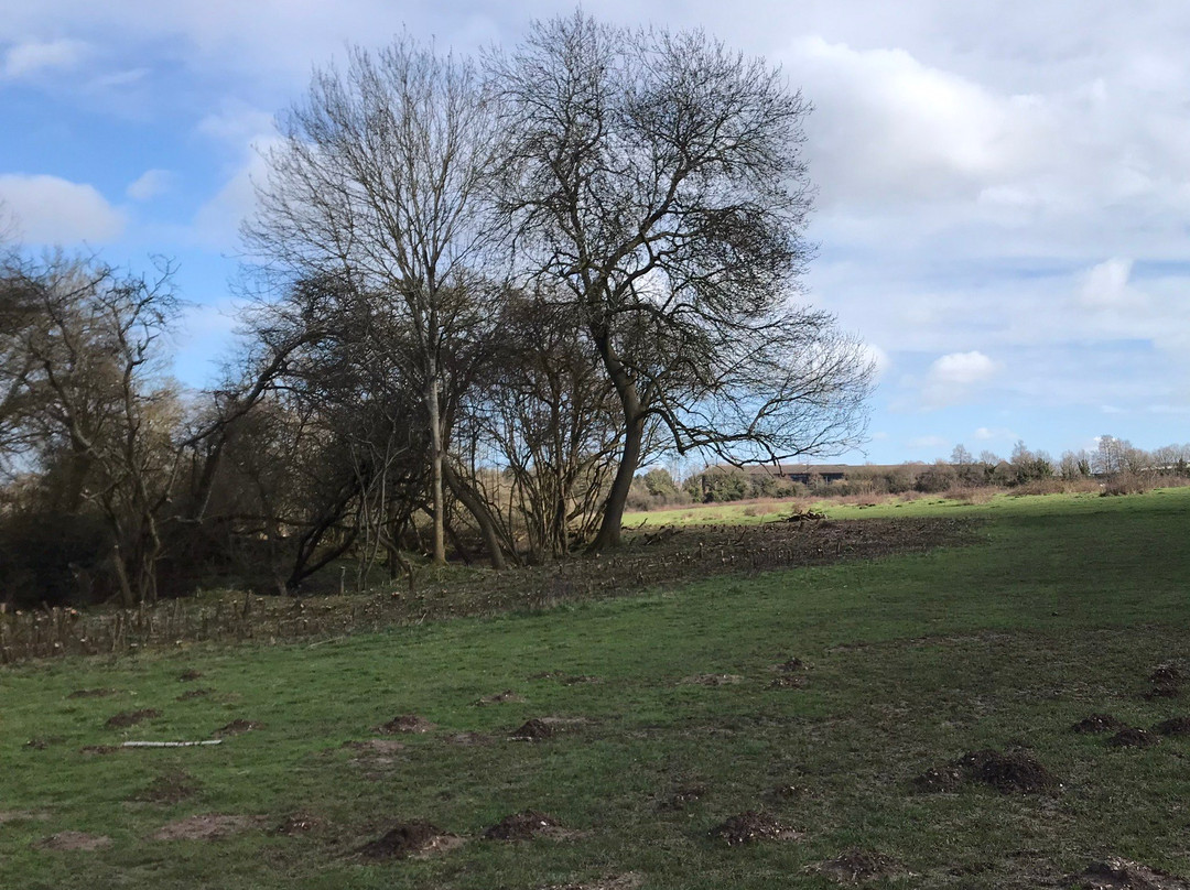 Croxley Common Moor景点图片