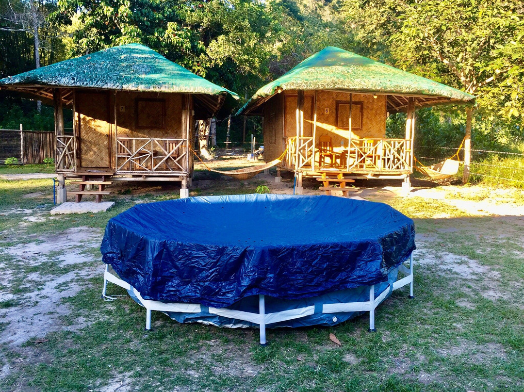 Back Trippers Inn主图