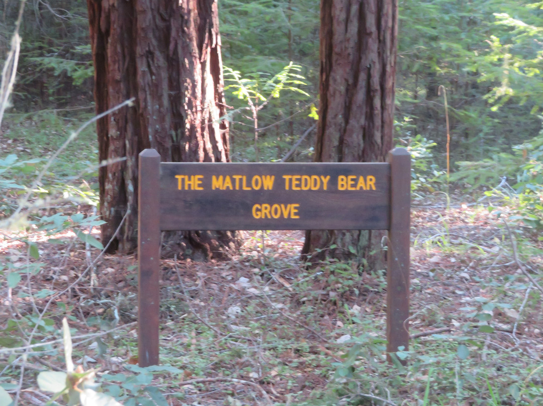 Portola Redwoods State Park-La Honda必去景点